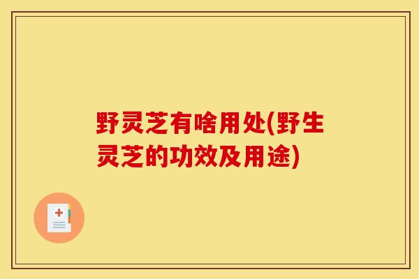野灵芝有啥用处(野生灵芝的功效及用途)