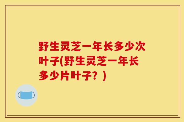 野生灵芝一年长多少次叶子(野生灵芝一年长多少片叶子?)