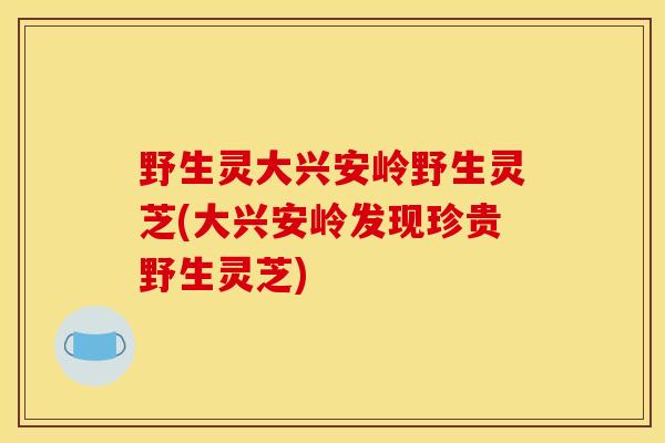 野生灵大兴安岭野生灵芝(大兴安岭发现珍贵野生灵芝)