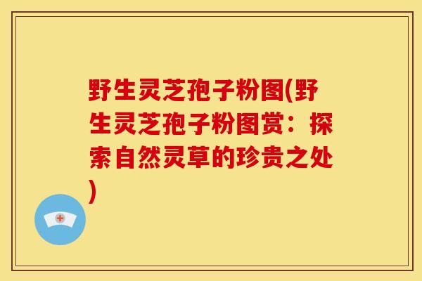 野生灵芝孢子粉图(野生灵芝孢子粉图赏：探索自然灵草的珍贵之处)