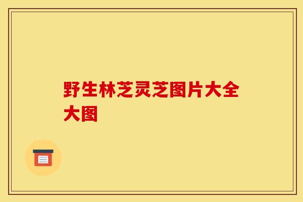 野生林芝灵芝图片大全大图