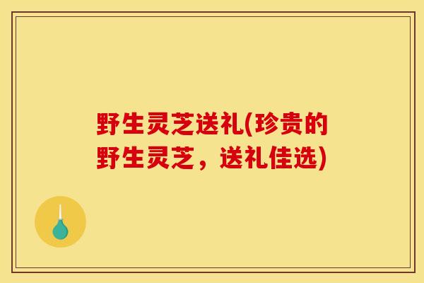野生灵芝送礼(珍贵的野生灵芝,送礼佳选)