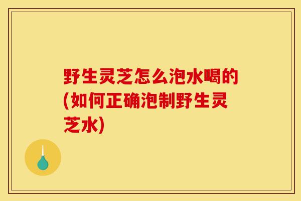 野生灵芝怎么泡水喝的(如何正确泡制野生灵芝水)