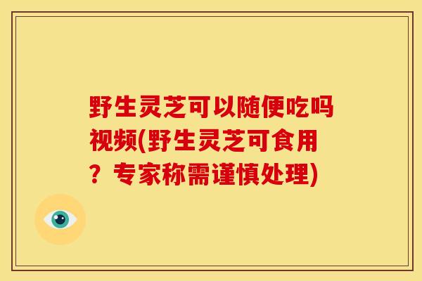 野生灵芝可以随便吃吗视频(野生灵芝可食用?专家称需谨慎处理)