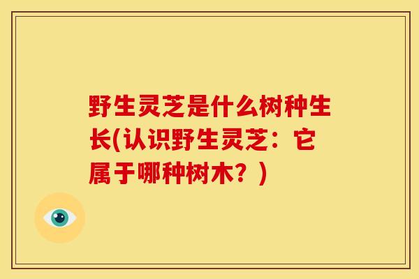 野生灵芝是什么树种生长(认识野生灵芝：它属于哪种树木？)