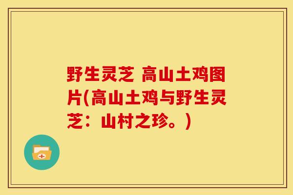 野生灵芝 高山土鸡图片(高山土鸡与野生灵芝：山村之珍。)