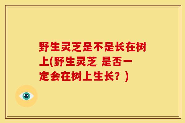 野生灵芝是不是长在树上(野生灵芝 是否一定会在树上生长?)