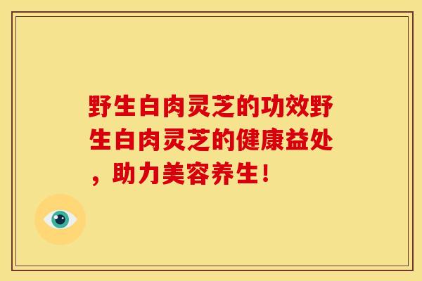 野生白肉灵芝的功效野生白肉灵芝的健康益处,助力美容养生!