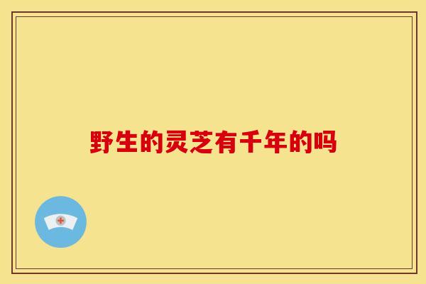 野生的灵芝有千年的吗