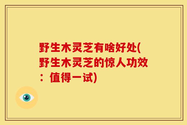 野生木灵芝有啥好处(野生木灵芝的惊人功效:值得一试)