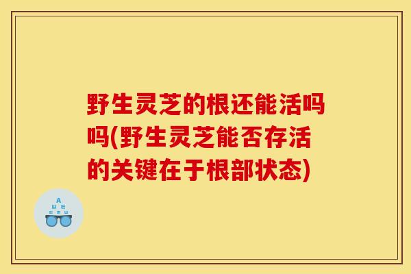 野生灵芝的根还能活吗吗(野生灵芝能否存活的关键在于根部状态)