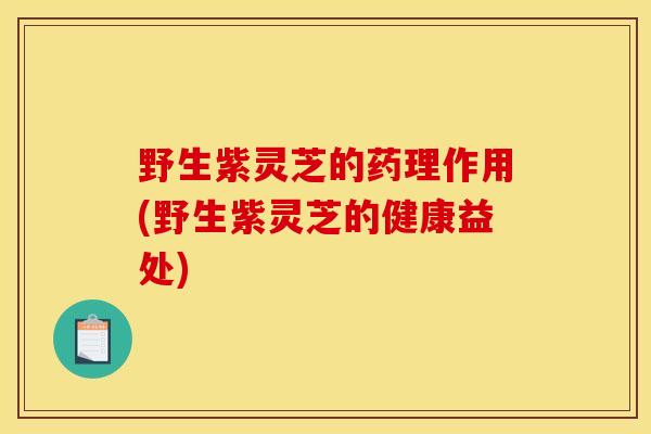 野生紫灵芝的药理作用(野生紫灵芝的健康益处)
