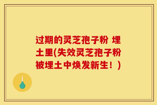 过期的灵芝孢子粉 埋土里(失效灵芝孢子粉被埋土中焕发新生！)