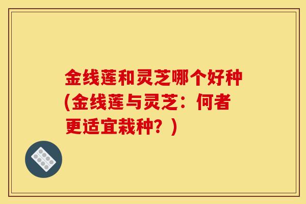 金线莲和灵芝哪个好种(金线莲与灵芝：何者更适宜栽种？)