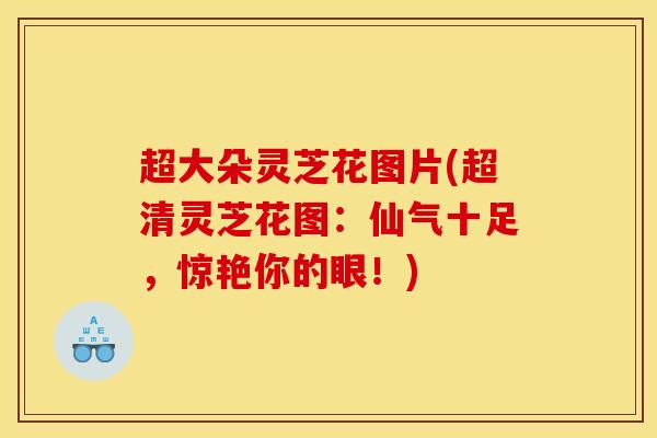 超大朵灵芝花图片(超清灵芝花图：仙气十足，惊艳你的眼！)