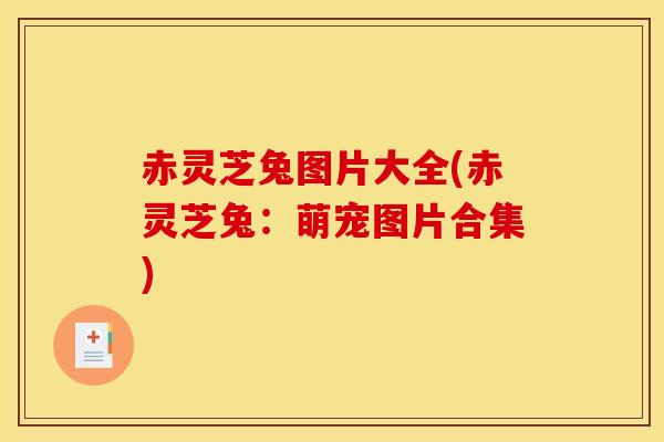 赤灵芝兔图片大全(赤灵芝兔:萌宠图片合集)
