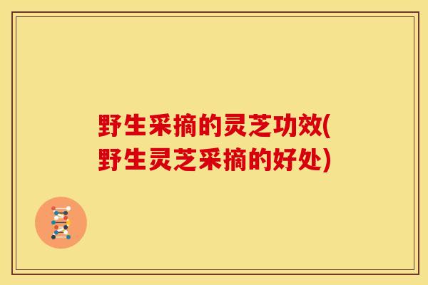 野生采摘的灵芝功效(野生灵芝采摘的好处)
