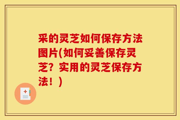 采的灵芝如何保存方法图片(如何妥善保存灵芝？实用的灵芝保存方法！)