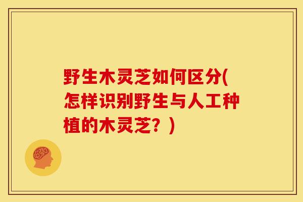 野生木灵芝如何区分(怎样识别野生与人工种植的木灵芝?)