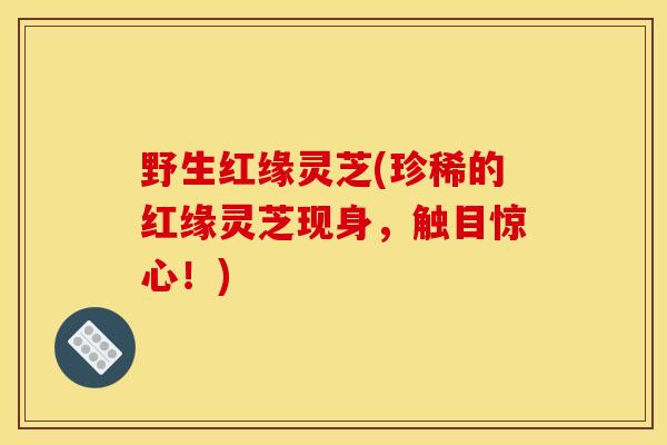 野生红缘灵芝(珍稀的红缘灵芝现身，触目惊心！)