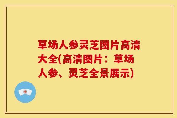 草场人参灵芝图片高清大全(高清图片:草场人参、灵芝全景展示)