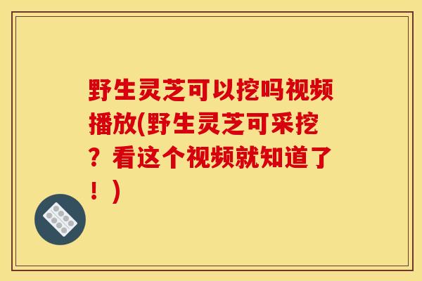 野生灵芝可以挖吗视频播放(野生灵芝可采挖?看这个视频就知道了!)