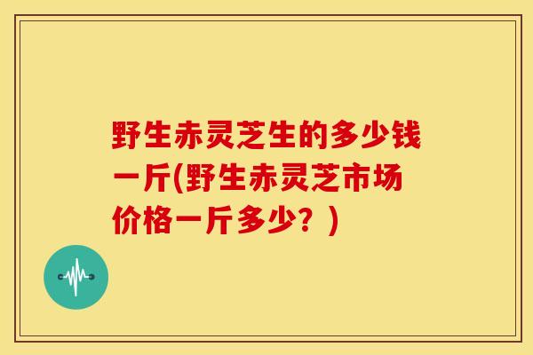 野生赤灵芝生的多少钱一斤(野生赤灵芝市场价格一斤多少?)