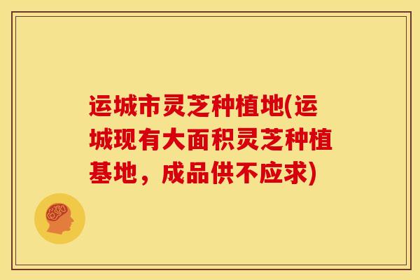 运城市灵芝种植地(运城现有大面积灵芝种植基地，成品供不应求)