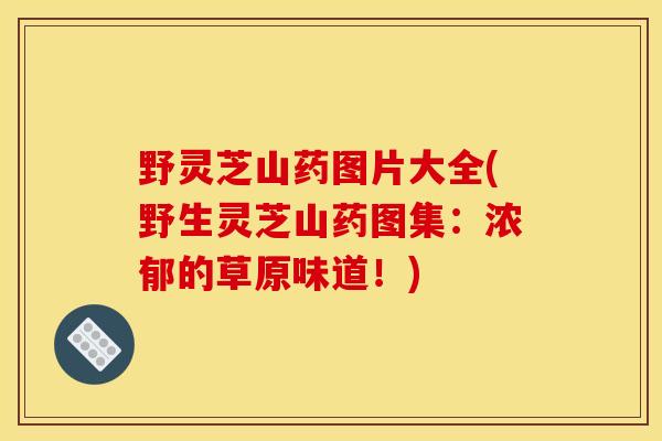 野灵芝山药图片大全(野生灵芝山药图集:浓郁的草原味道!)
