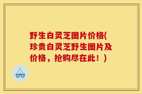 野生白灵芝图片价格(珍贵白灵芝野生图片及价格,抢购尽在此!)