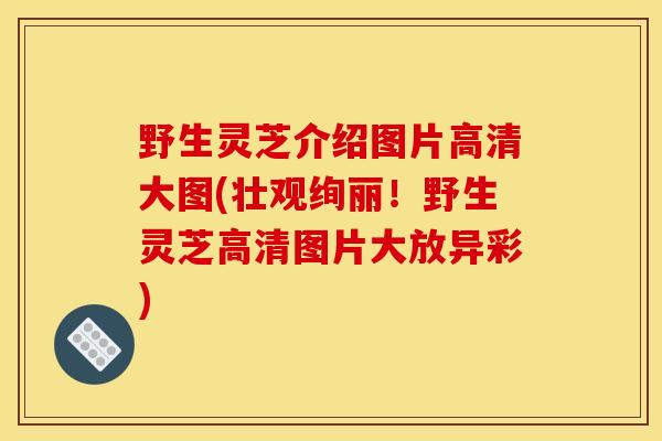 野生灵芝介绍图片高清大图(壮观绚丽!野生灵芝高清图片大放异彩)