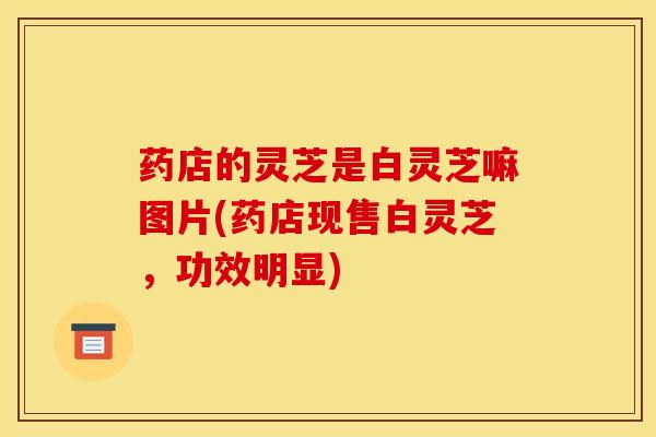 药店的灵芝是白灵芝嘛图片(药店现售白灵芝,功效明显)