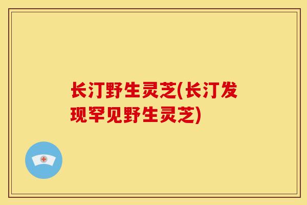 长汀野生灵芝(长汀发现罕见野生灵芝)