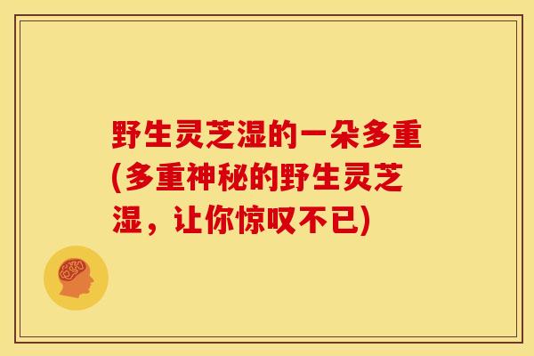 野生灵芝湿的一朵多重(多重神秘的野生灵芝湿，让你惊叹不已)