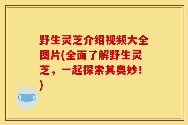 野生灵芝介绍视频大全图片(全面了解野生灵芝,一起探索其奥妙!)