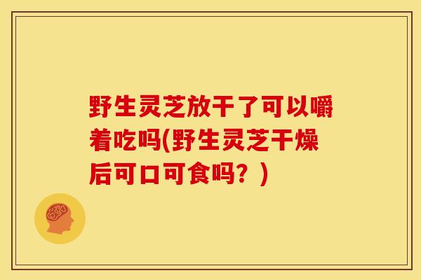 野生灵芝放干了可以嚼着吃吗(野生灵芝干燥后可口可食吗?)