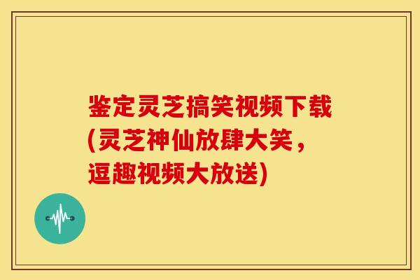 鉴定灵芝搞笑视频下载(灵芝神仙放肆大笑,逗趣视频大放送)