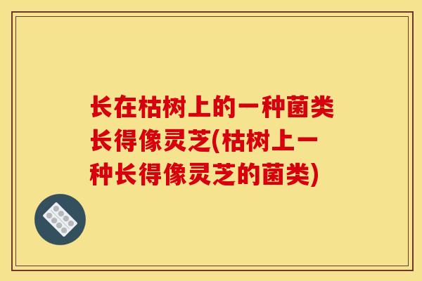 长在枯树上的一种菌类长得像灵芝(枯树上一种长得像灵芝的菌类)