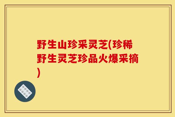 野生山珍采灵芝(珍稀野生灵芝珍品火爆采摘)