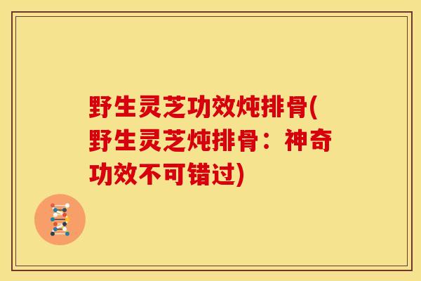 野生灵芝功效炖排骨(野生灵芝炖排骨:神奇功效不可错过)