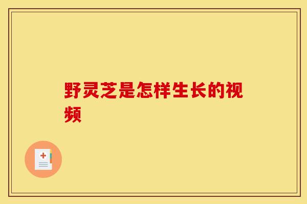 野灵芝是怎样生长的视频
