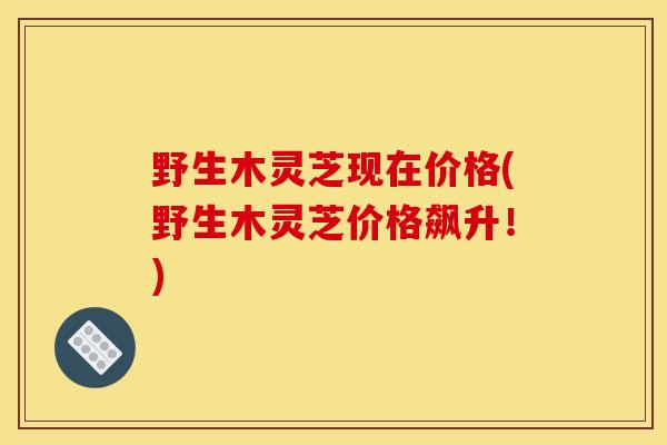 野生木灵芝现在价格(野生木灵芝价格飙升!)