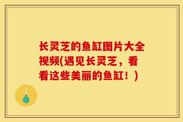 长灵芝的鱼缸图片大全视频(遇见长灵芝，看看这些美丽的鱼缸！)