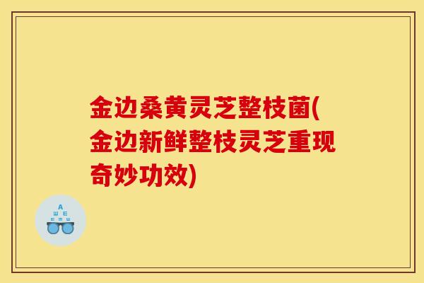 金边桑黄灵芝整枝菌(金边新鲜整枝灵芝重现奇妙功效)