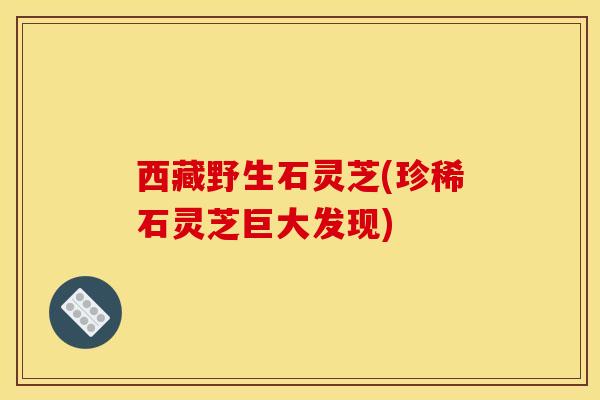 西藏野生石灵芝(珍稀石灵芝巨大发现)