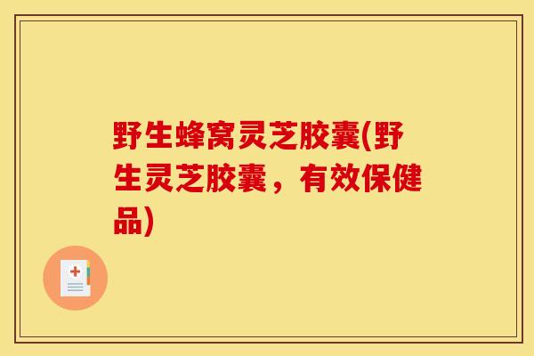 野生蜂窝灵芝胶囊(野生灵芝胶囊,有效保健品)