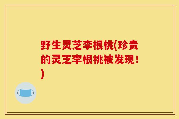 野生灵芝李根桃(珍贵的灵芝李根桃被发现!)