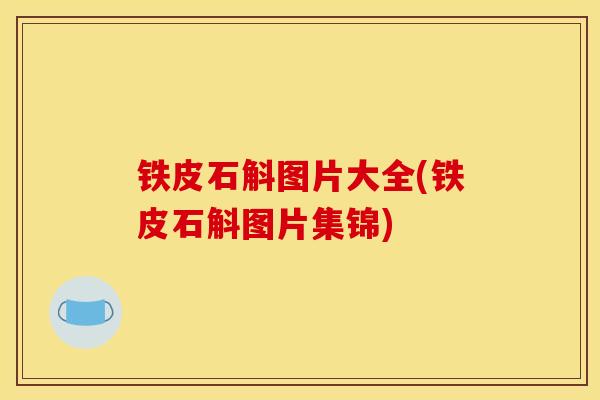 铁皮石斛图片大全(铁皮石斛图片集锦)
