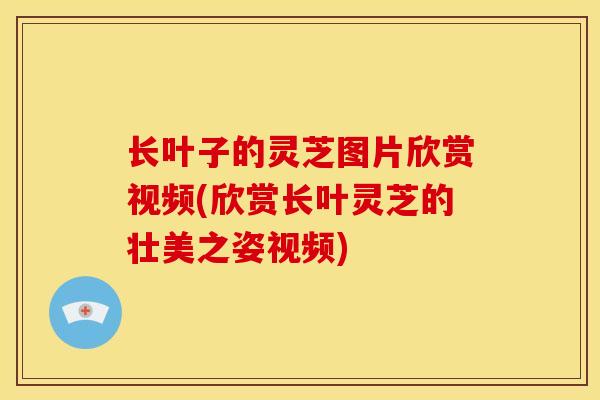 长叶子的灵芝图片欣赏视频(欣赏长叶灵芝的壮美之姿视频)
