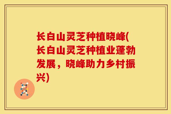 长白山灵芝种植晓峰(长白山灵芝种植业蓬勃发展,晓峰助力乡村振兴)